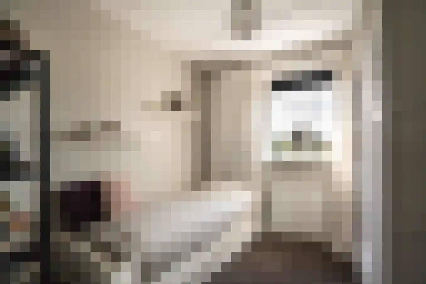 Lisdodde 6 Ameide thumbnail 28