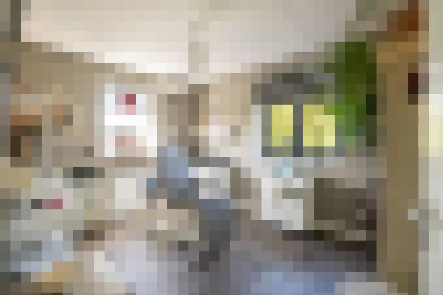 Lisdodde 6 Ameide thumbnail 29