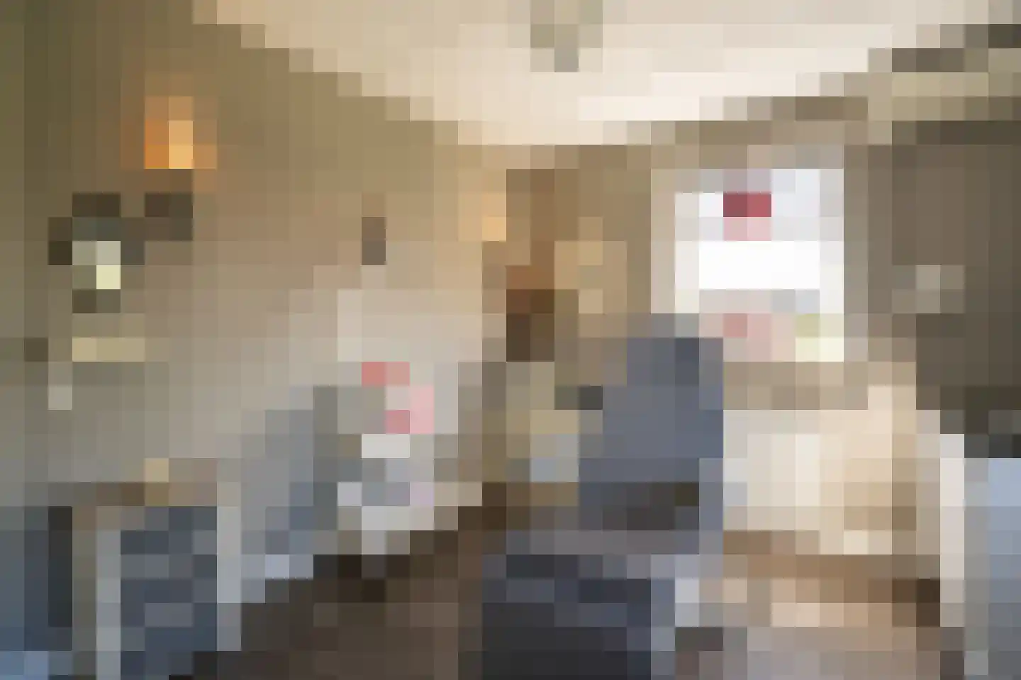 Lisdodde 6 Ameide thumbnail 30