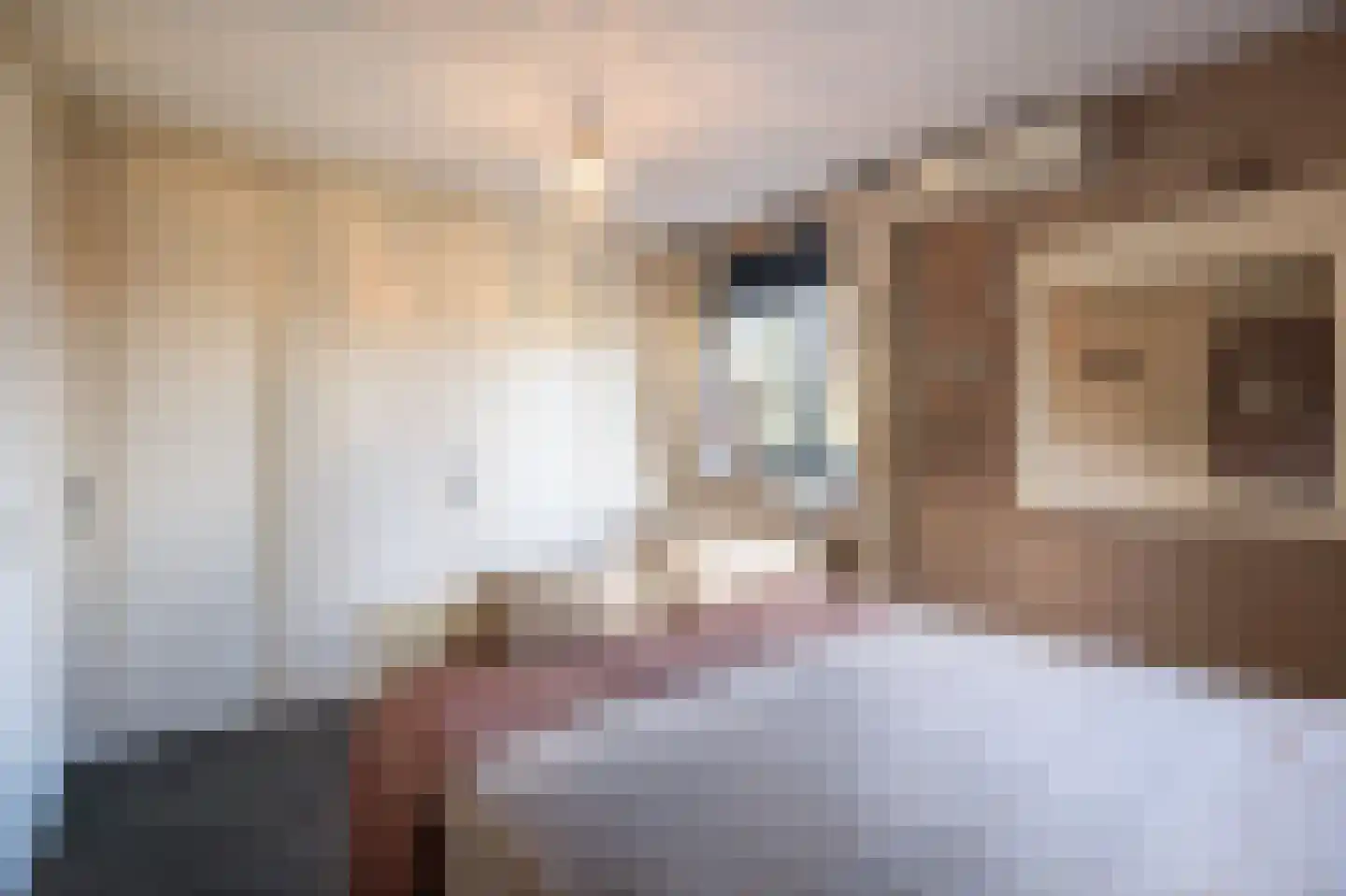 Lisdodde 6 Ameide thumbnail 32