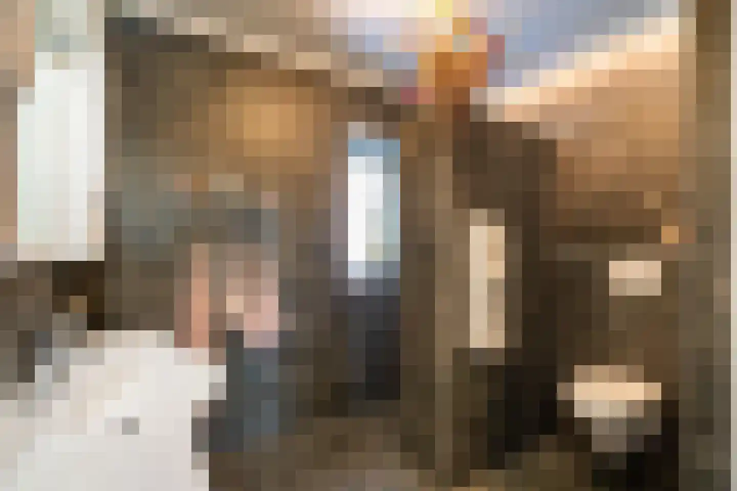 Lisdodde 6 Ameide thumbnail 33