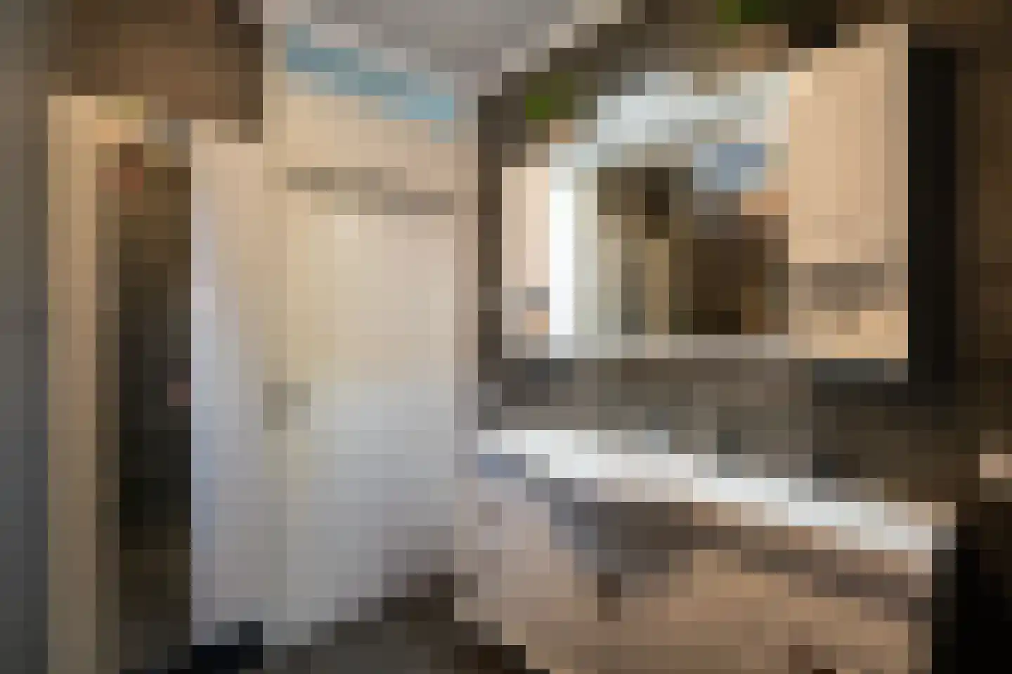 Lisdodde 6 Ameide thumbnail 34