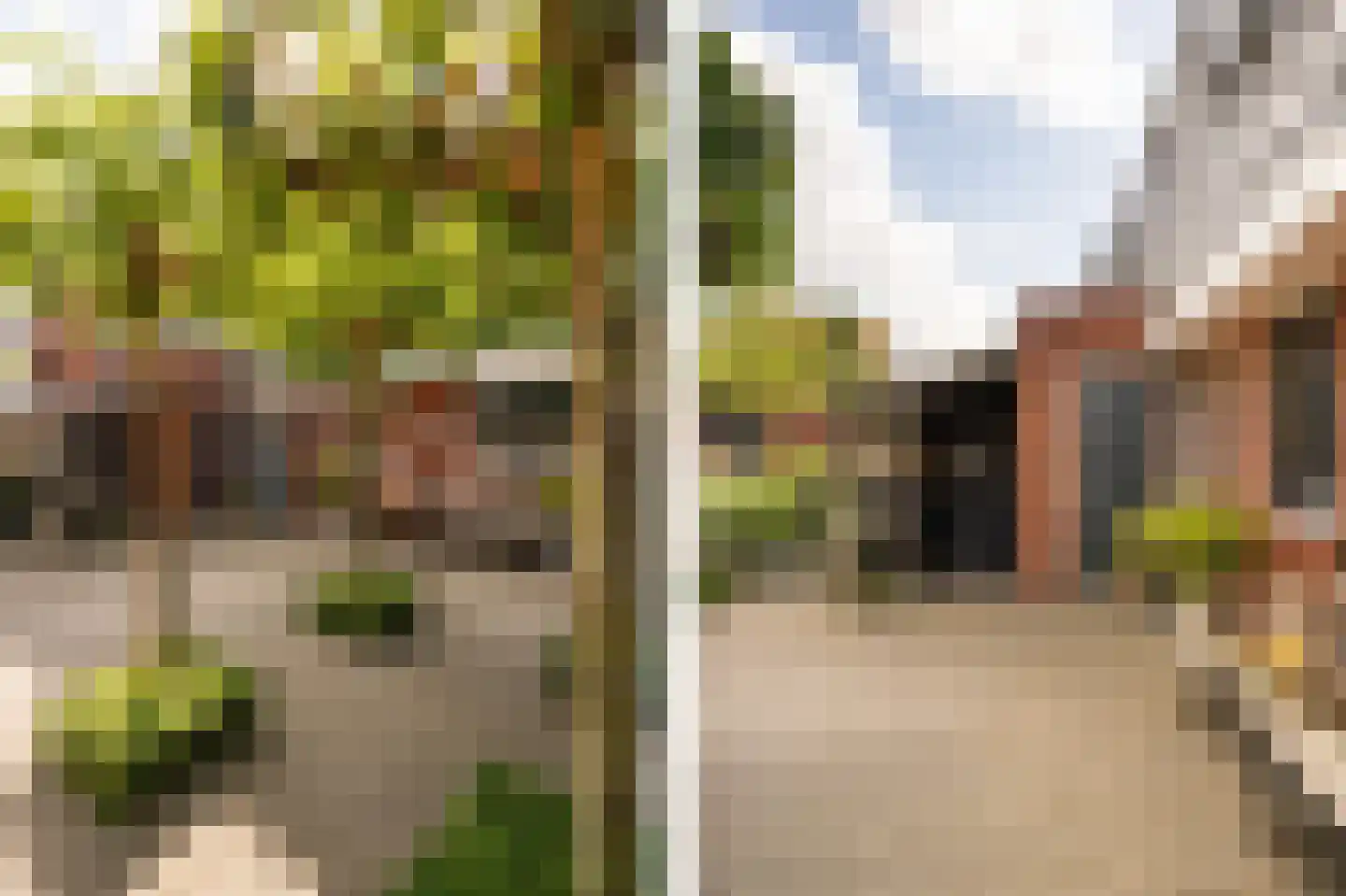 Lisdodde 6 Ameide thumbnail 4
