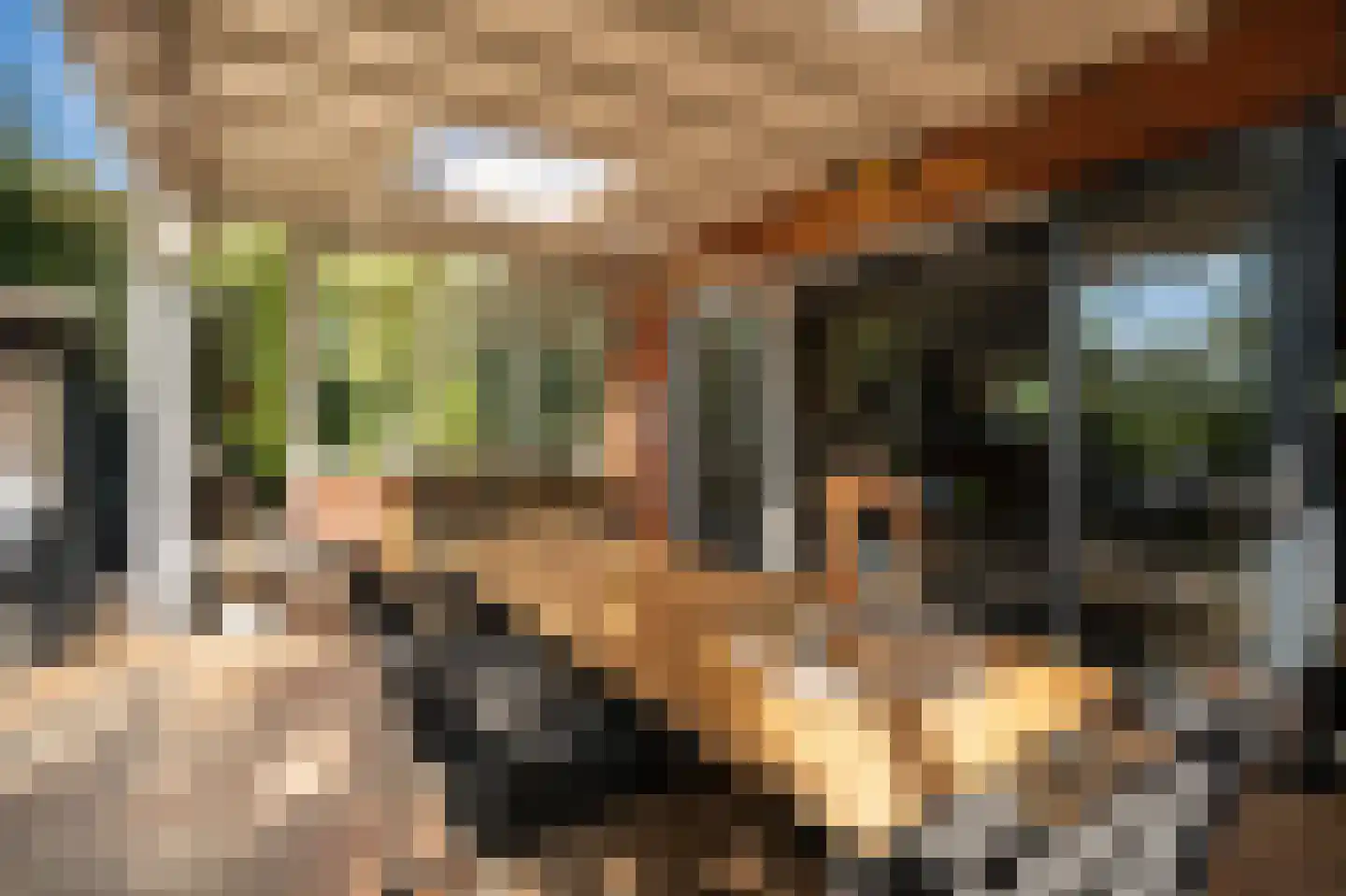 Lisdodde 6 Ameide thumbnail 40