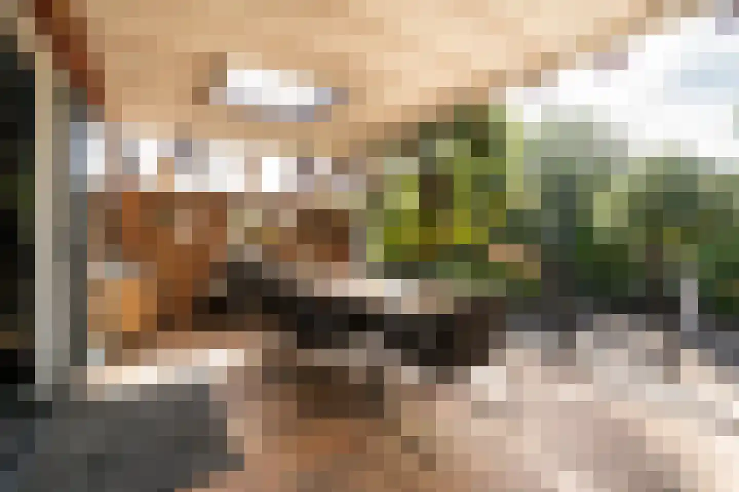 Lisdodde 6 Ameide thumbnail 41