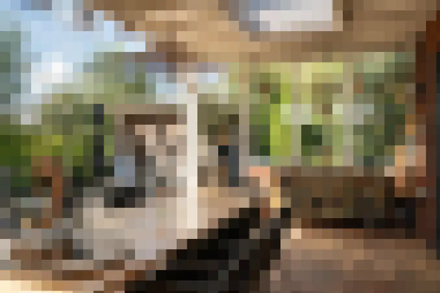 Lisdodde 6 Ameide thumbnail 42