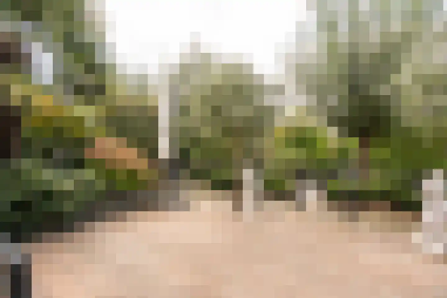 Lisdodde 6 Ameide thumbnail 44