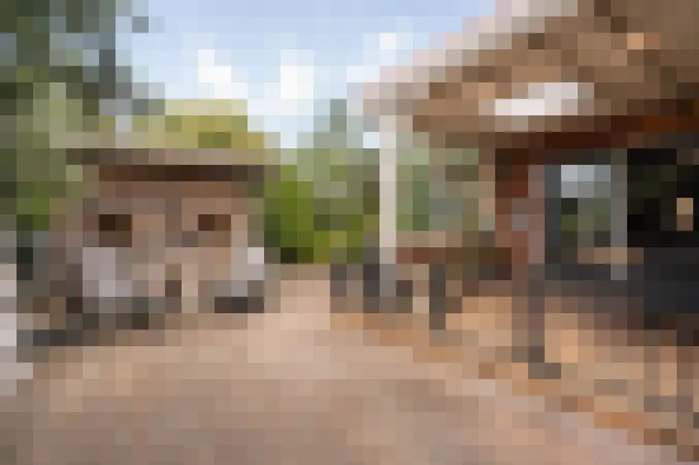 Lisdodde 6 Ameide thumbnail 45