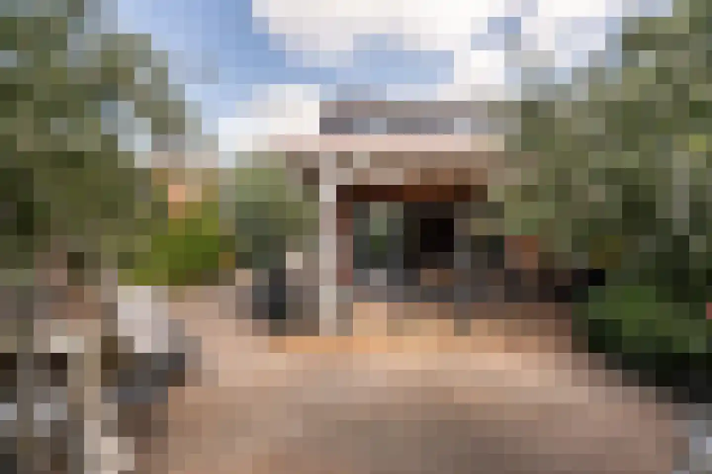 Lisdodde 6 Ameide thumbnail 46