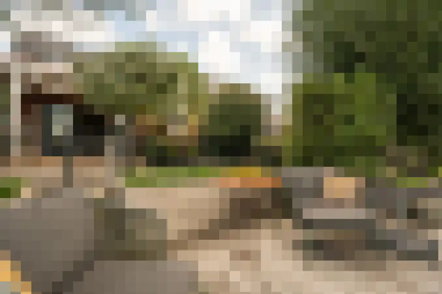 Lisdodde 6 Ameide thumbnail 47