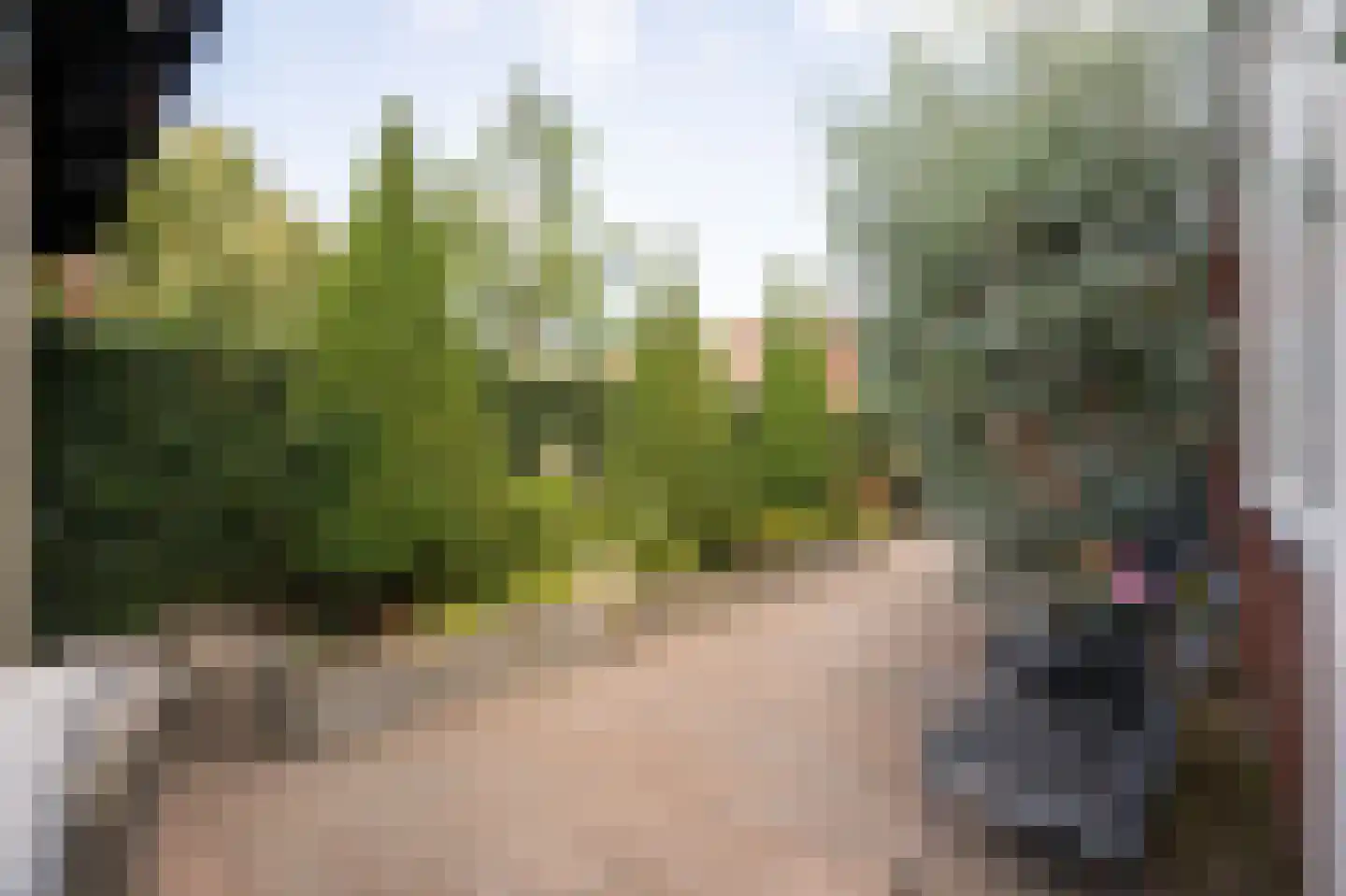 Lisdodde 6 Ameide thumbnail 51