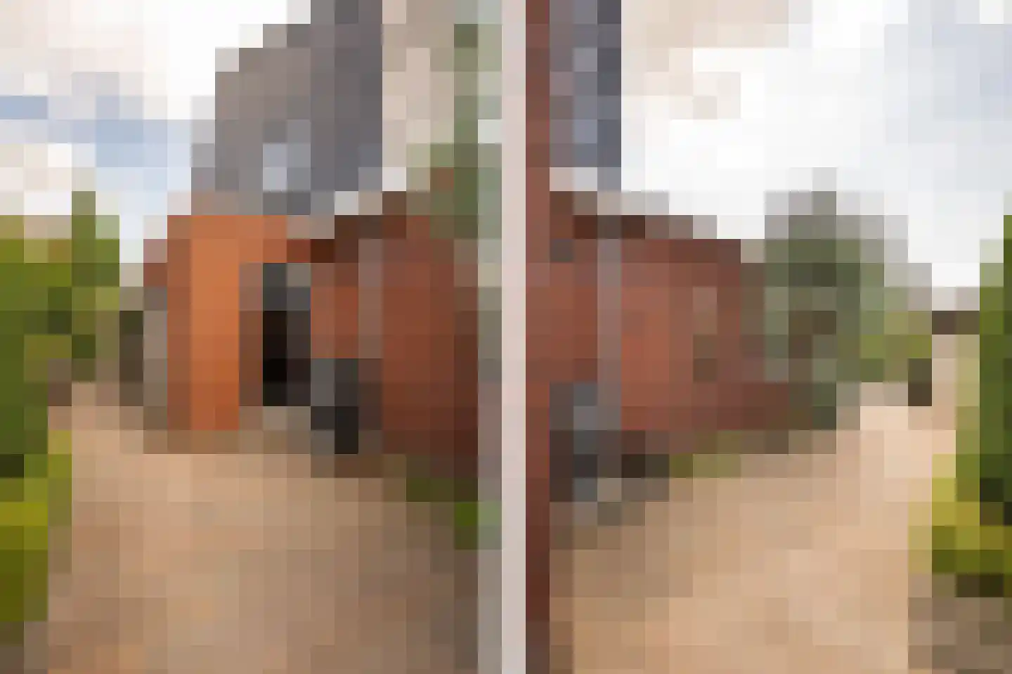 Lisdodde 6 Ameide thumbnail 52
