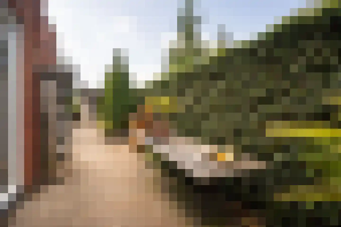 Lisdodde 6 Ameide thumbnail 53