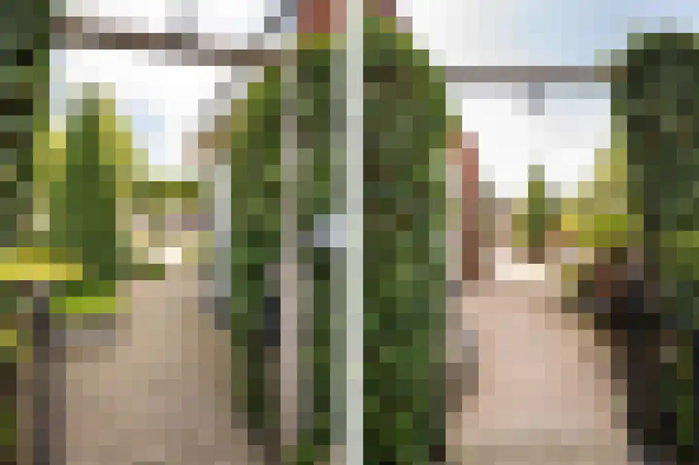 Lisdodde 6 Ameide thumbnail 54