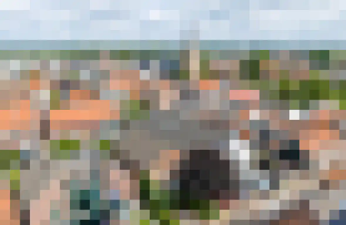 Lisdodde 6 Ameide thumbnail 55