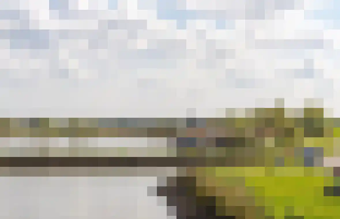 Lisdodde 6 Ameide thumbnail 57
