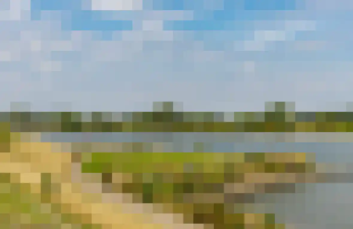 Lisdodde 6 Ameide thumbnail 58