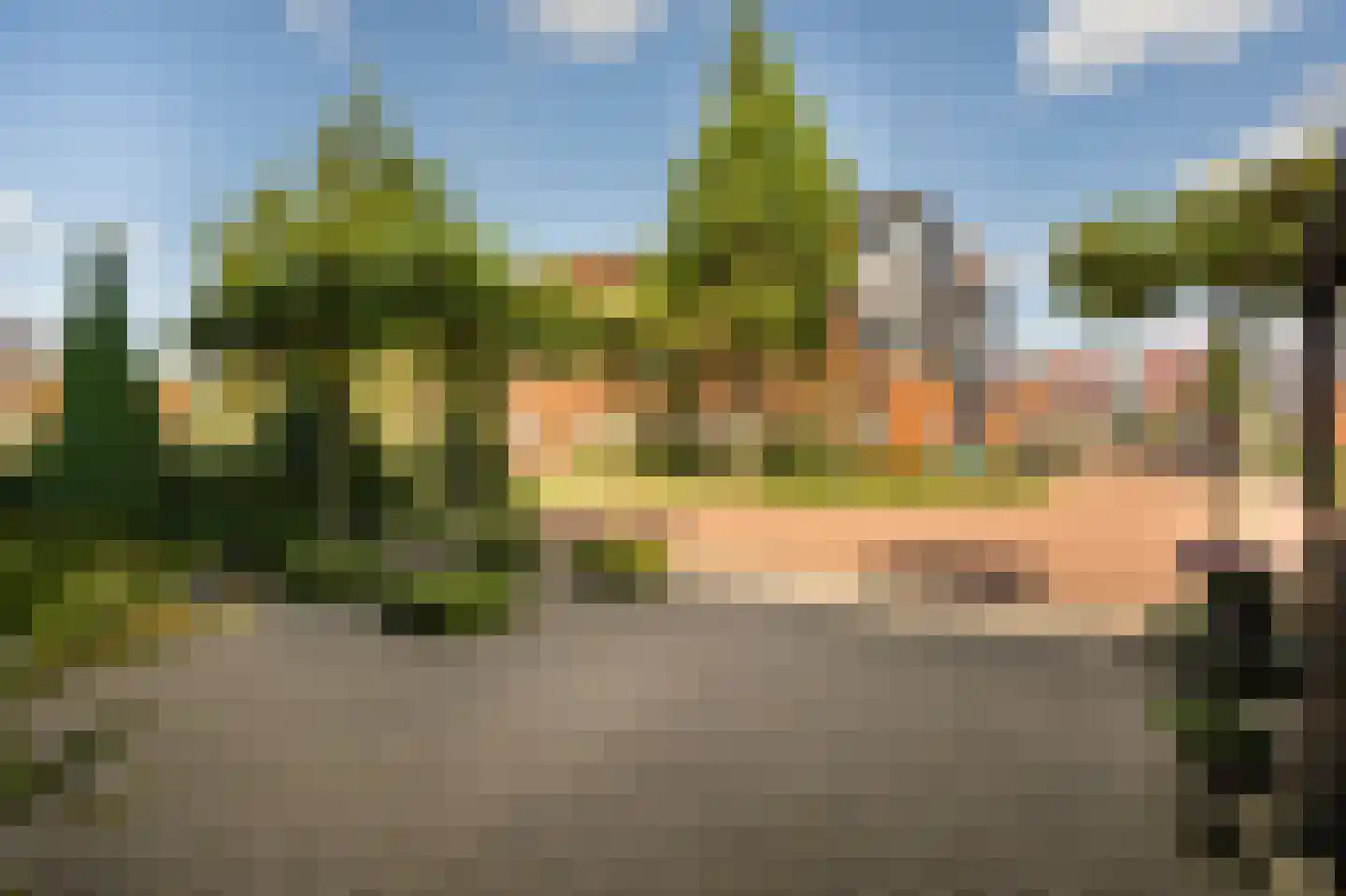 Lisdodde 6 Ameide thumbnail 6