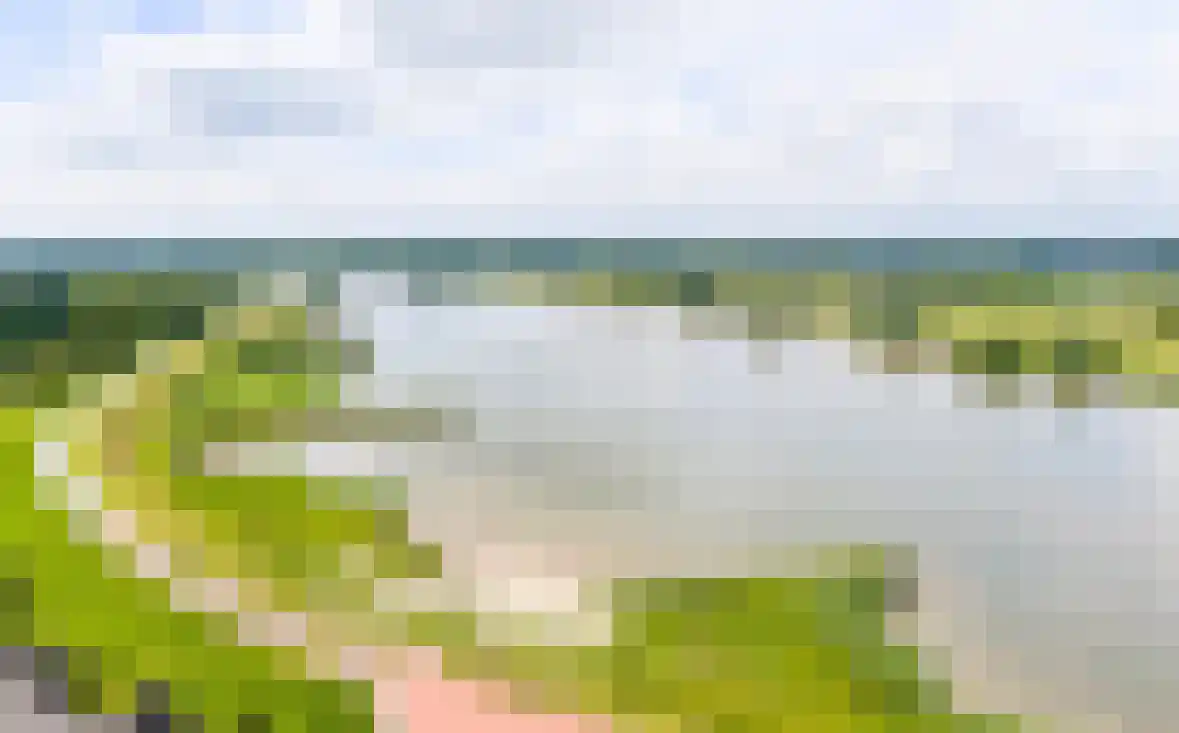 Lisdodde 6 Ameide thumbnail 60