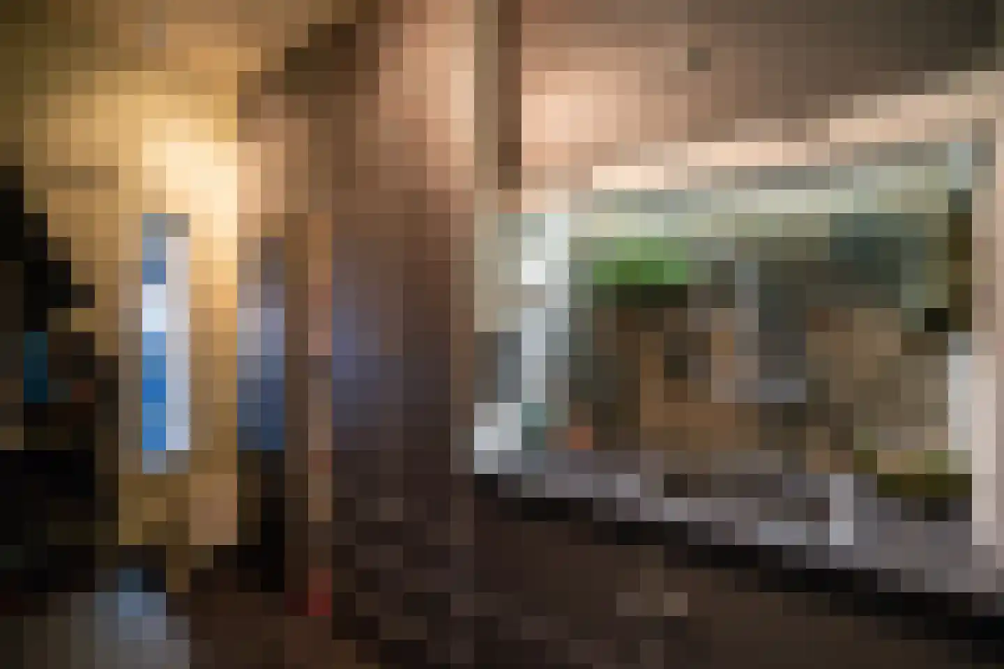 Lisdodde 6 Ameide thumbnail 9
