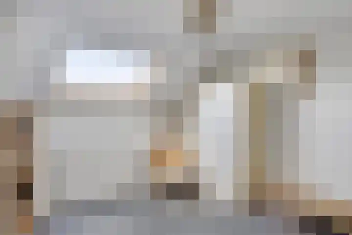 Lisdodde 6 Kampen thumbnail 18