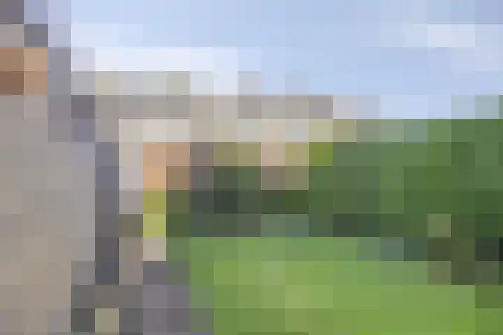 Lisdodde 6 Kampen thumbnail 20