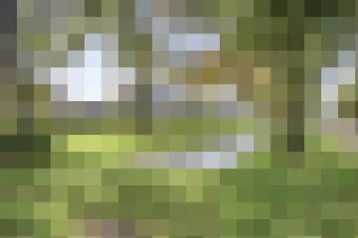 Lisdodde 6 Kampen thumbnail 29