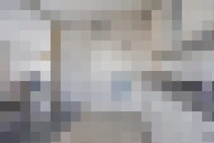 Lisdodde 6 Kampen thumbnail 8