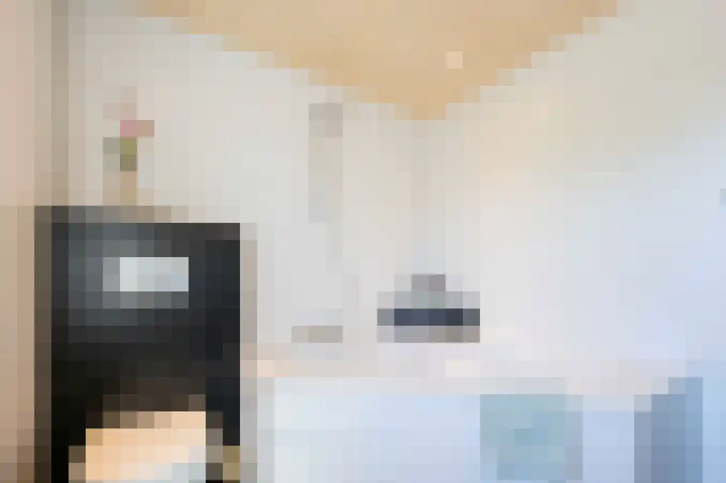 Lisdodde 6 Oudenbosch thumbnail 20