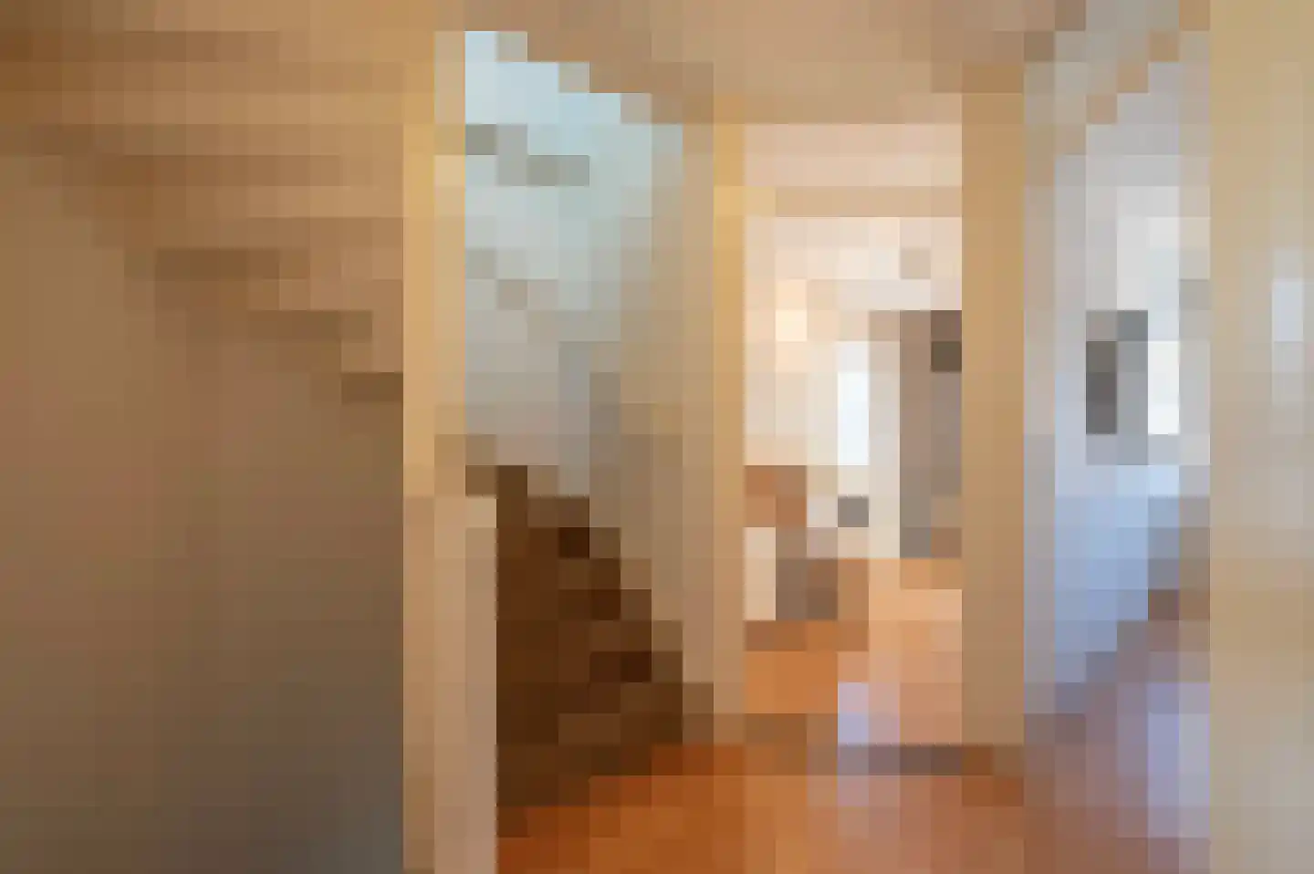 Lisdodde 6 Oudenbosch thumbnail 24