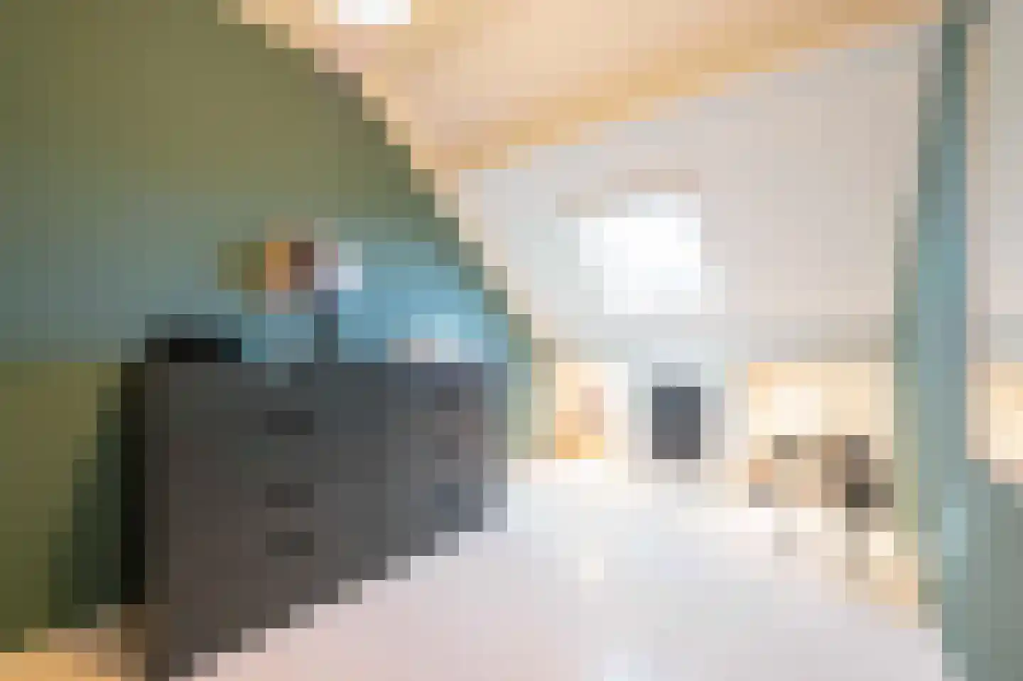 Lisdodde 6 Oudenbosch thumbnail 27