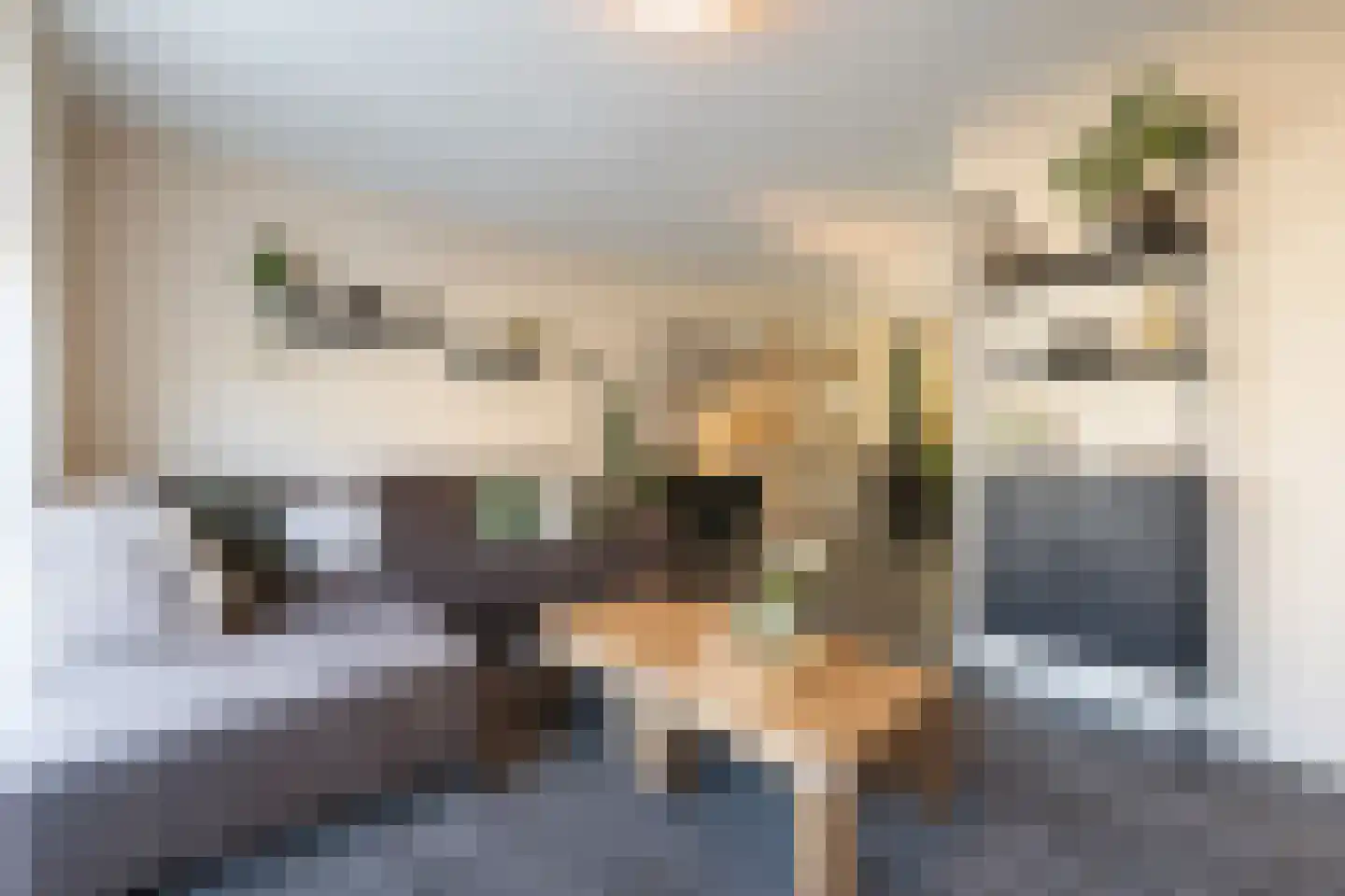 Lisdodde 6 Oudenbosch thumbnail 7