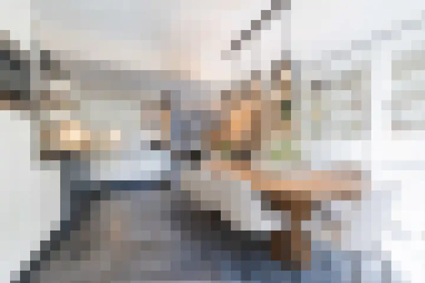 Lisdodde 6 Oudenbosch thumbnail 9
