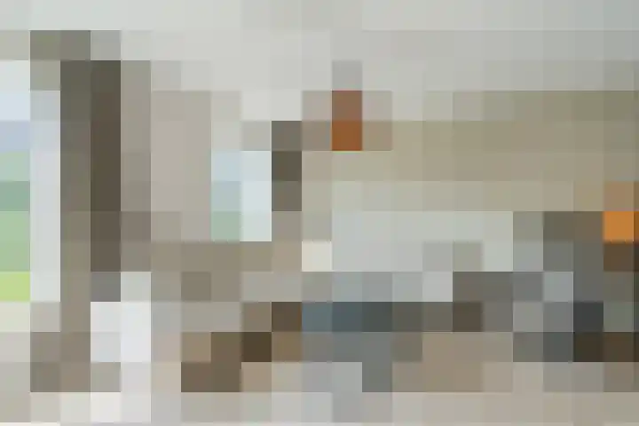 Lisdodde 6 Oudkarspel thumbnail 13