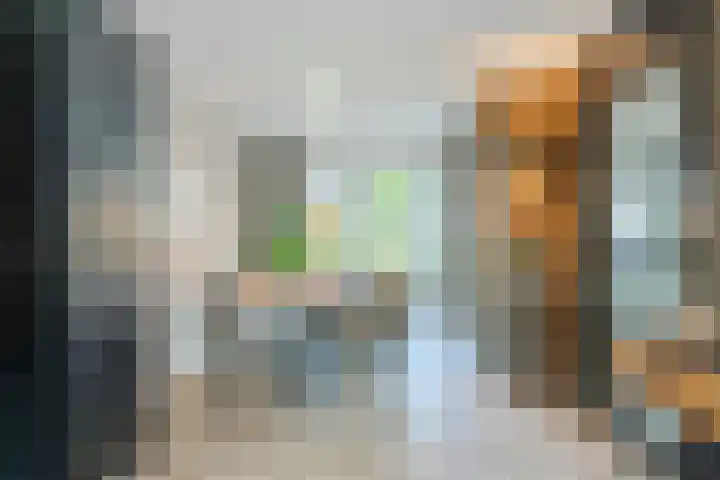 Lisdodde 6 Oudkarspel thumbnail 18
