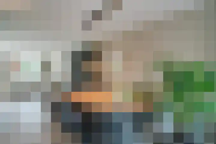 Lisdodde 6 Oudkarspel thumbnail 23