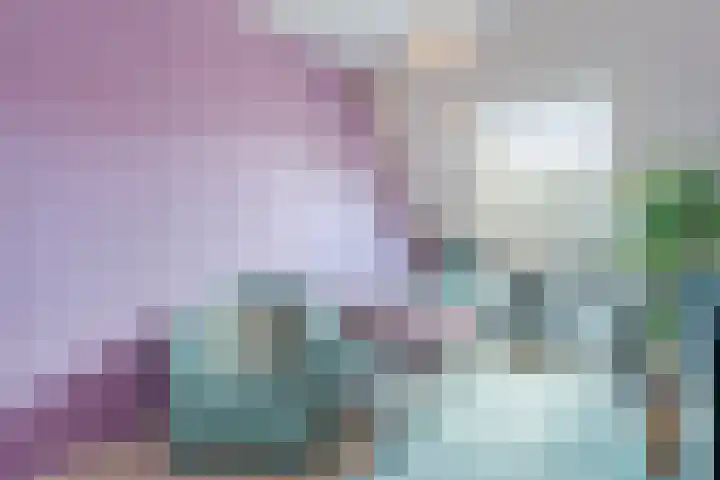 Lisdodde 6 Oudkarspel thumbnail 35