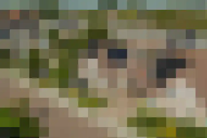 Lisdodde 6 Oudkarspel thumbnail 4