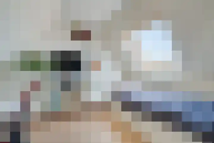 Lisdodde 6 Oudkarspel thumbnail 44