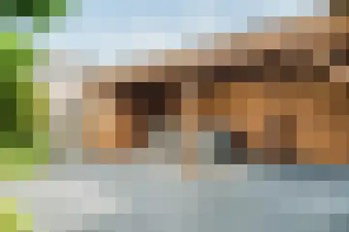 Lisdodde 6 Oudkarspel thumbnail 47