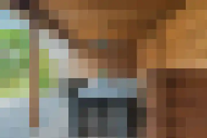 Lisdodde 6 Oudkarspel thumbnail 48