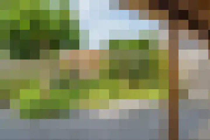 Lisdodde 6 Oudkarspel thumbnail 49
