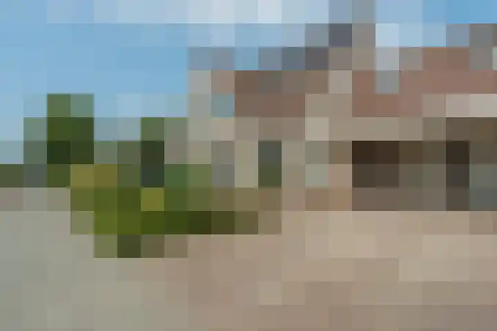 Lisdodde 6 Oudkarspel thumbnail 5