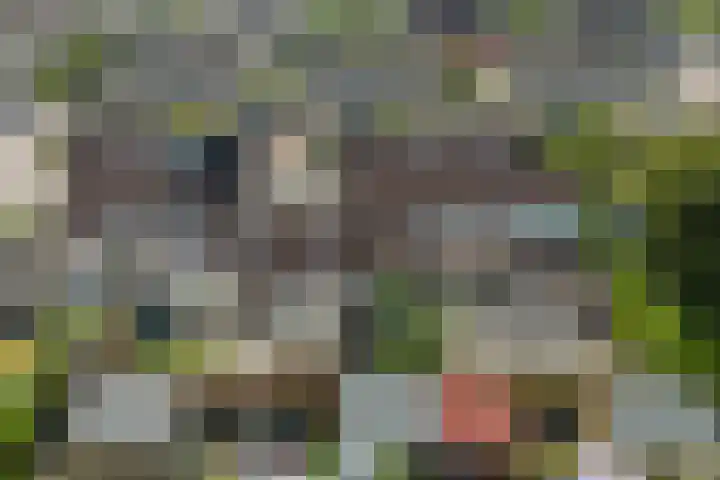 Lisdodde 6 Oudkarspel thumbnail 57