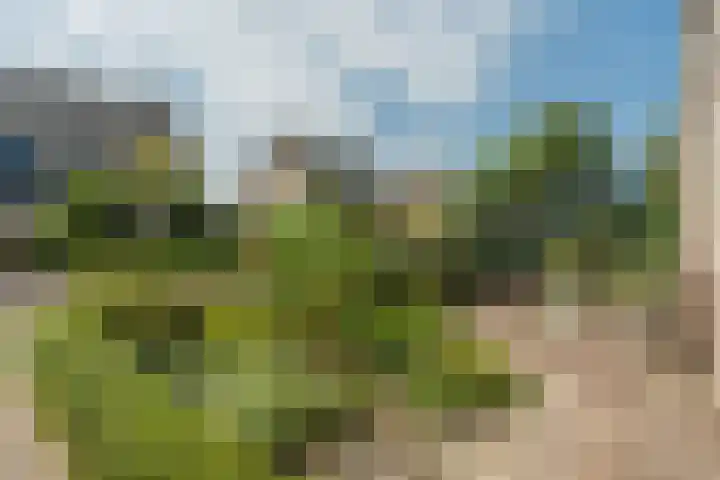 Lisdodde 6 Oudkarspel thumbnail 6