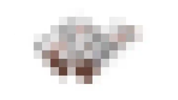 Lisdodde 6 Oudkarspel thumbnail 60