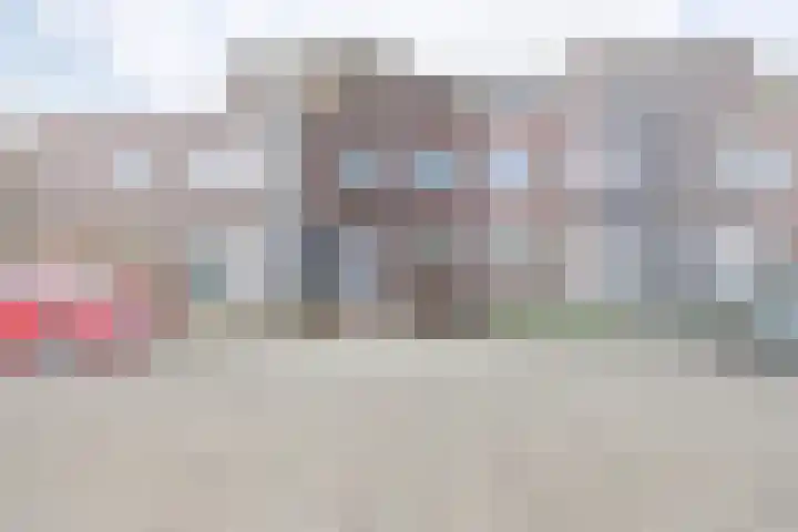 Lisdodde 60 Tegelen
