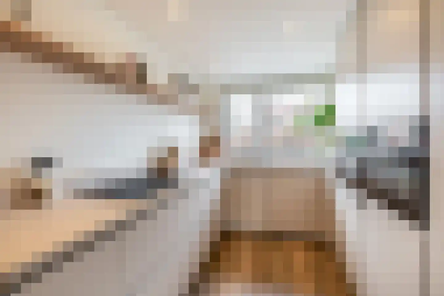 Lisdodde 60 Tegelen thumbnail 10