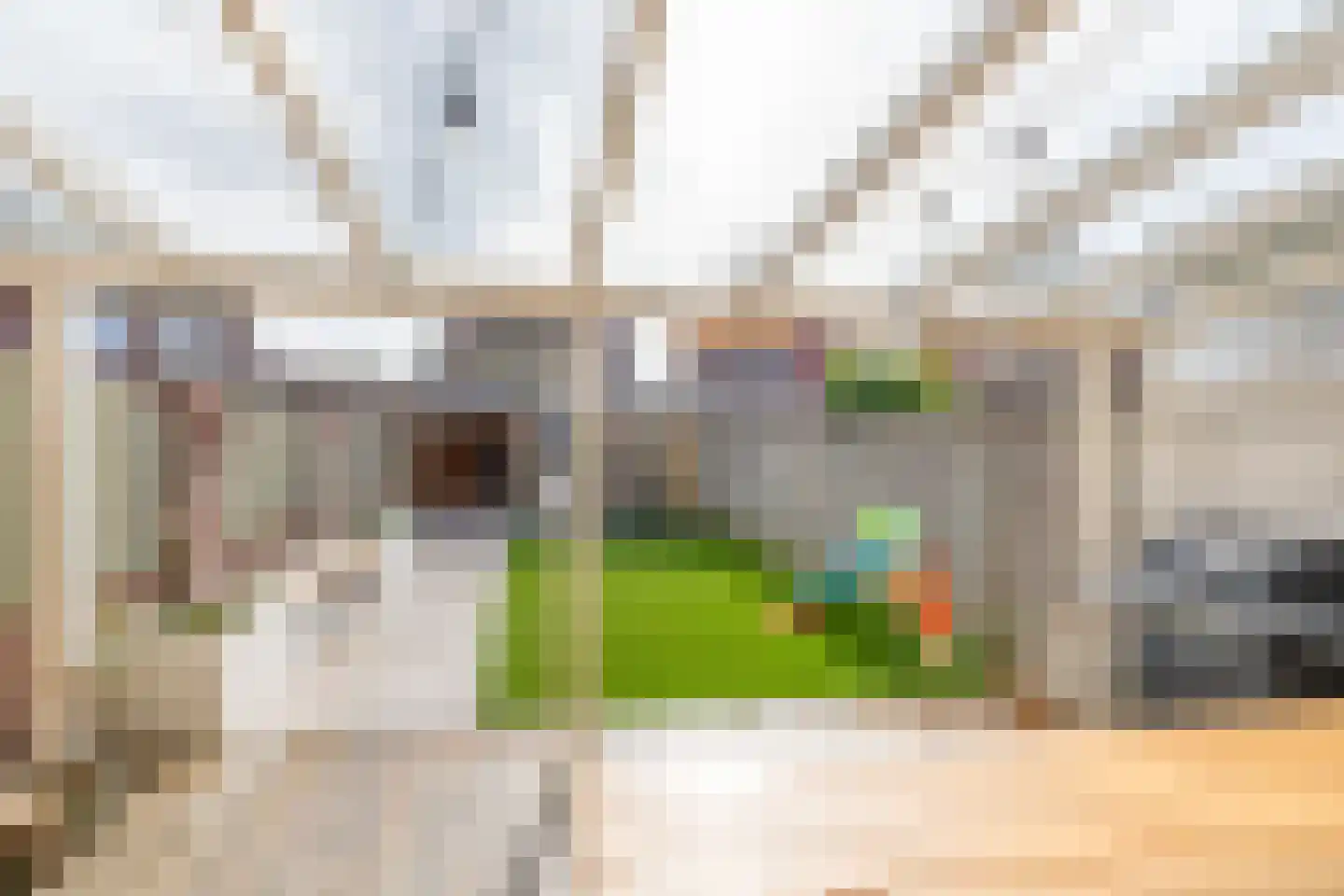 Lisdodde 60 Tegelen thumbnail 13