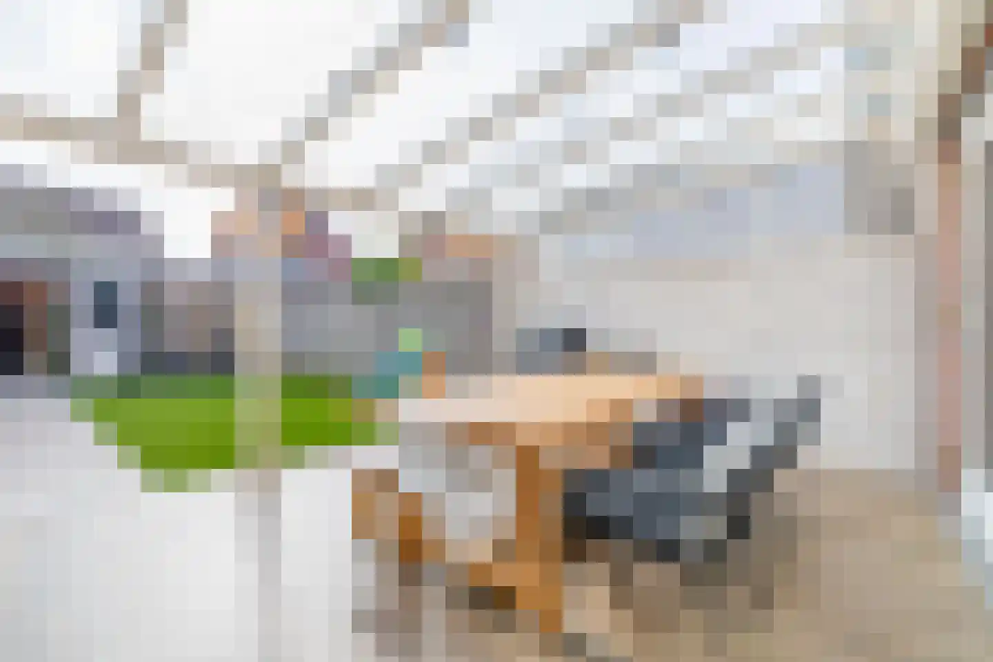 Lisdodde 60 Tegelen thumbnail 14